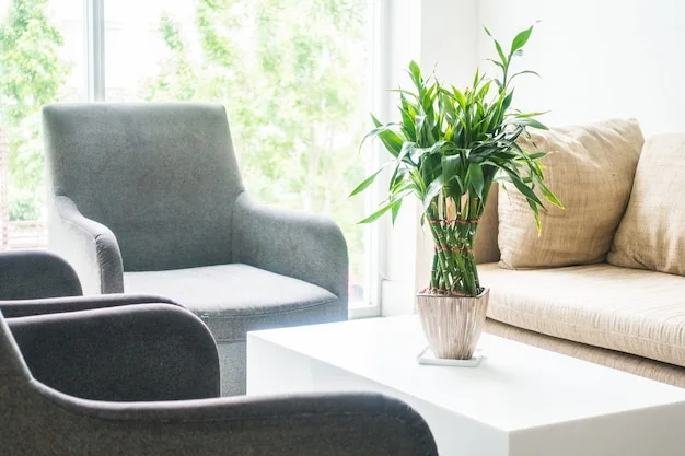 Dos butacas y una planta en la sala de consulta